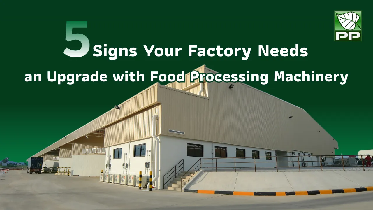 Food processing machines that help upgrade SME factories